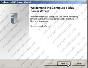 Welcome to the Configure a DNS Server Wizard