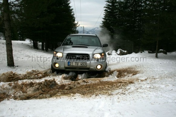 forester6