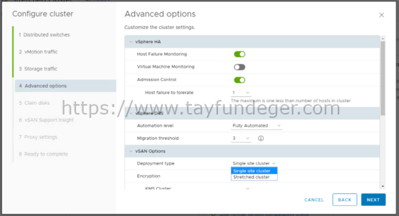 VSAN Advanced Options