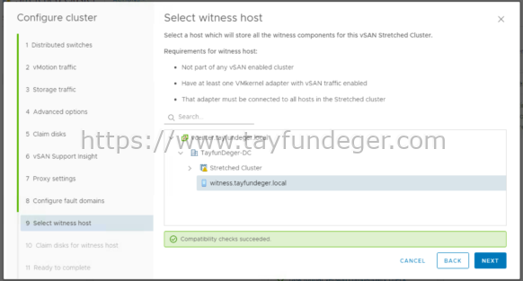 VSAN Witness Host