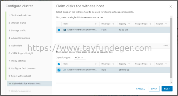 VSAN Claim Witness Host