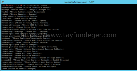 vCenter Server 7 Servislerin Kontrolü