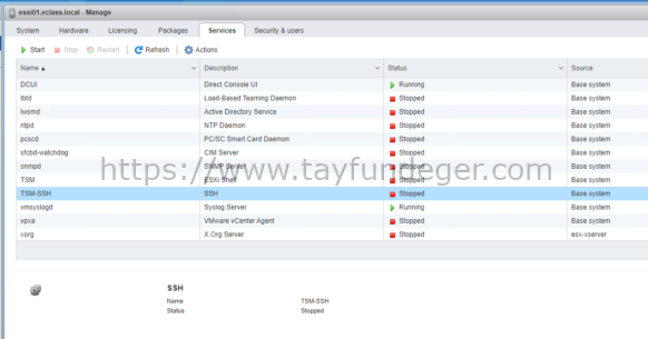 ESXi SSH Servisi