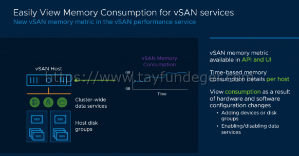 VSAN ve Memory Tüketimi